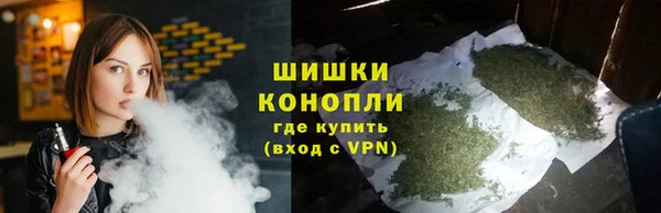 винт Верея