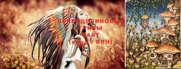 винт Верея