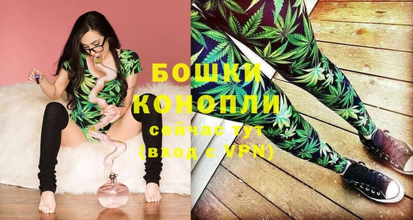 винт Верея